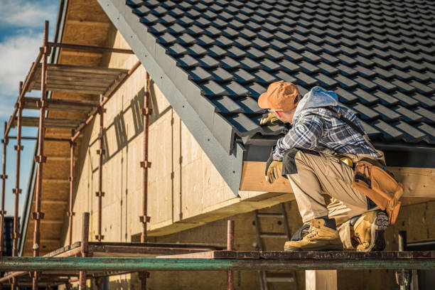 Best Shingle Roofing Installation  in Coleytown, CT