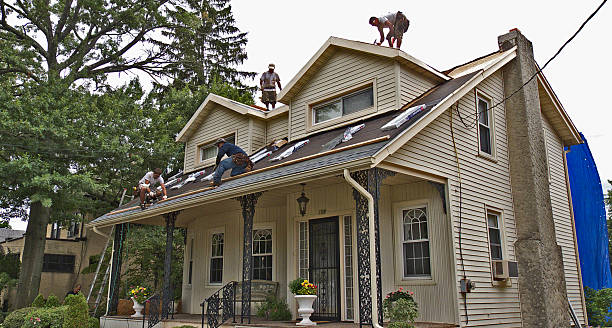Best Roof Leak Repair  in Coleytown, CT